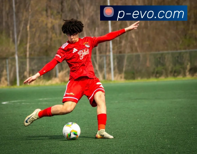 EVO视讯官网发展历程